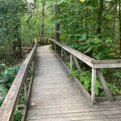 Hjortsjö Nature Reserve - Vetlanda
