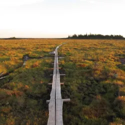 Store Mosse National Park - Vetlanda