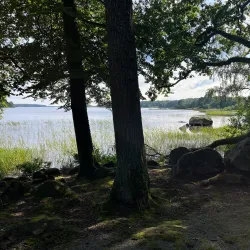 Bird Watching Spots - Virestad