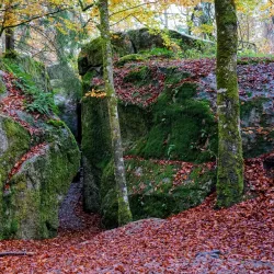 Bird Watching Spots - Virestad