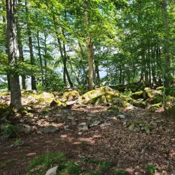 Bird Watching Spots - Virestad