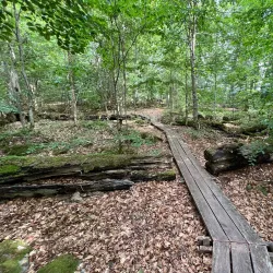 Bird Watching Spots - Virestad