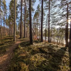 Bird Watching Spots - Virestad