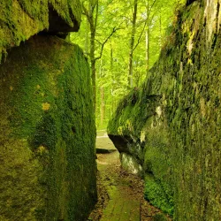 Bird Watching Spots - Virestad