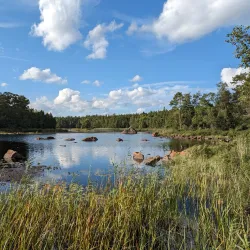 Bird Watching Spots - Virestad