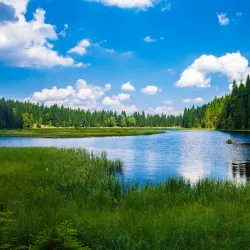 Swedish Countryside Cycling Routes - Virestad