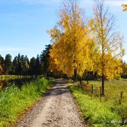 Swedish Countryside Cycling Routes - Virestad