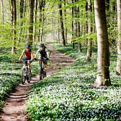 Swedish Countryside Cycling Routes - Virestad
