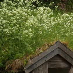 Virestad Community Events - Virestad