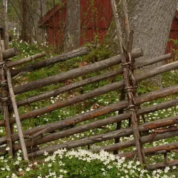 Virestad Historical Museum - Virestad