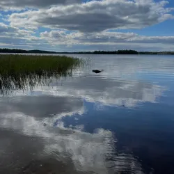 Virestad Village Center - Virestad