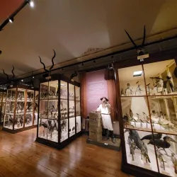 Vänersborg Museum - Vänersborg