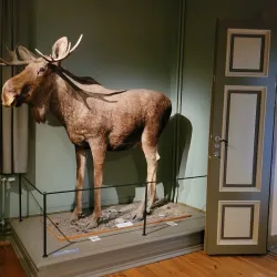 Vänersborg Museum - Vänersborg