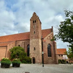 Ystad Abbey (Klostret i Ystad) - Ystad