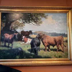 Ystad Museum - Ystad