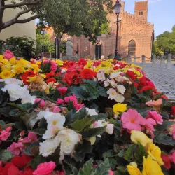 Ystad Old Town - Ystad