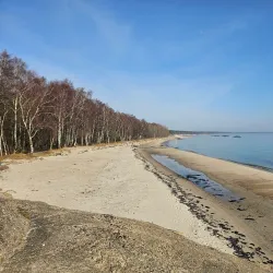 Ystad Sandskog - Ystad