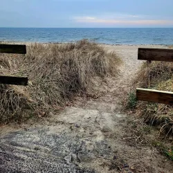 Ystad Sandskog - Ystad