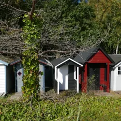 Ystad Sandskog - Ystad