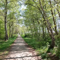 Ystad Sandskog - Ystad