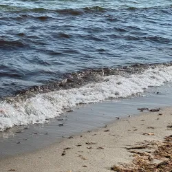 Ystad Sandskog - Ystad