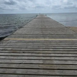 Ystad Sandskog - Ystad