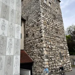 Aarau Castle (Schloss Aarau) - Aarau