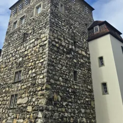 Aarau Castle (Schloss Aarau) - Aarau