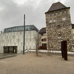 Aarau Castle (Schloss Aarau) - Aarau