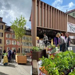 Marktplatz Aarau - Aarau