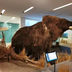 Naturama Aargau - Aarau