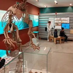 Naturama Aargau - Aarau