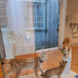 Naturama Aargau - Aarau