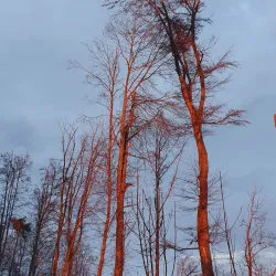 Albis Pass - Affoltern am Albis