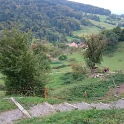 Hiking Trails in the Albis Hills - Affoltern am Albis