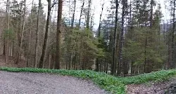 Hiking Trails in the Albis Hills - Affoltern am Albis