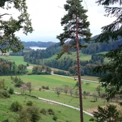 Hiking Trails in the Albis Hills - Affoltern am Albis