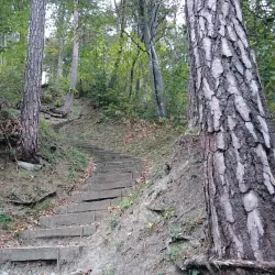 Hiking Trails in the Albis Hills - Affoltern am Albis