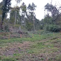 Hiking Trails in the Albis Hills - Affoltern am Albis
