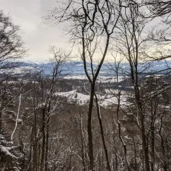 Hiking Trails in the Albis Hills - Affoltern am Albis