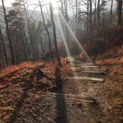 Hiking Trails in the Albis Hills - Affoltern am Albis
