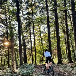 Hiking Trails in the Albis Hills - Affoltern am Albis