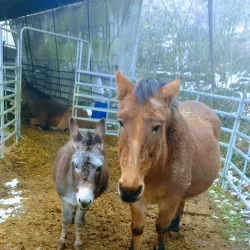 Hiking Trails in the Albis Hills - Affoltern am Albis