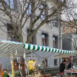 Local Markets and Festivals - Affoltern am Albis