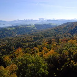 Sihlwald Nature Park - Affoltern am Albis