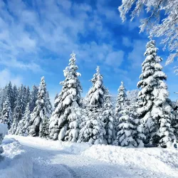 Sihlwald Nature Park - Affoltern am Albis