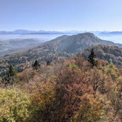 Sihlwald Nature Park - Affoltern am Albis
