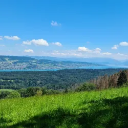 Sihlwald Nature Park - Affoltern am Albis