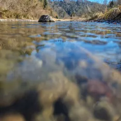 Sihlwald Nature Park - Affoltern am Albis