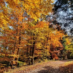 Sihlwald Nature Park - Affoltern am Albis